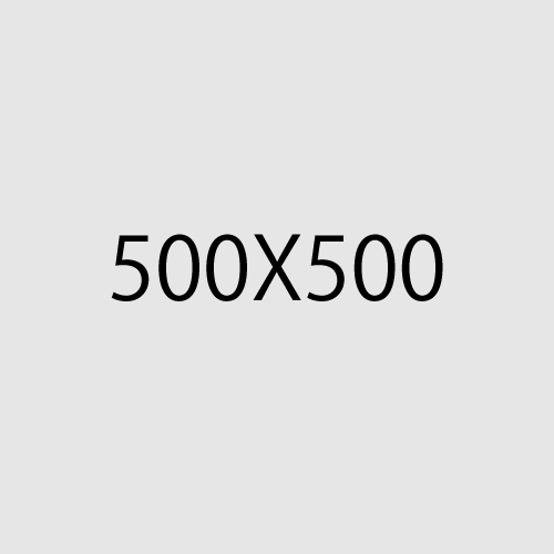 500×500